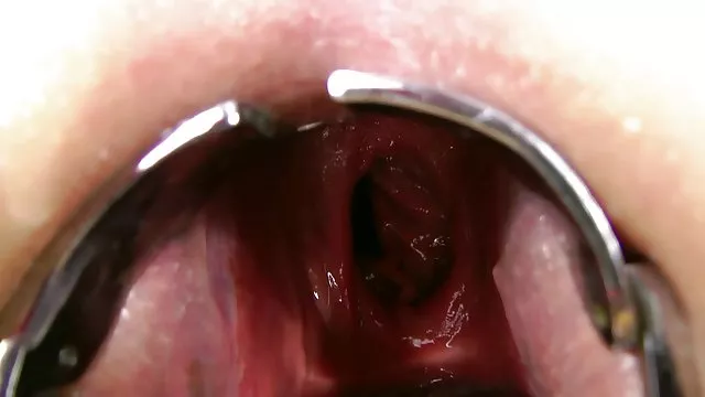 دعارة أي تسجيل الحيوانات اجمل سكسمترجم متعة