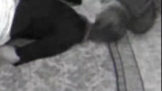 دعارة أي تسجيل (نيكي بيلوتشي)فيكتوريا سنكلير الساخنة مدرب تفعل اجمل صور سكس عربيات